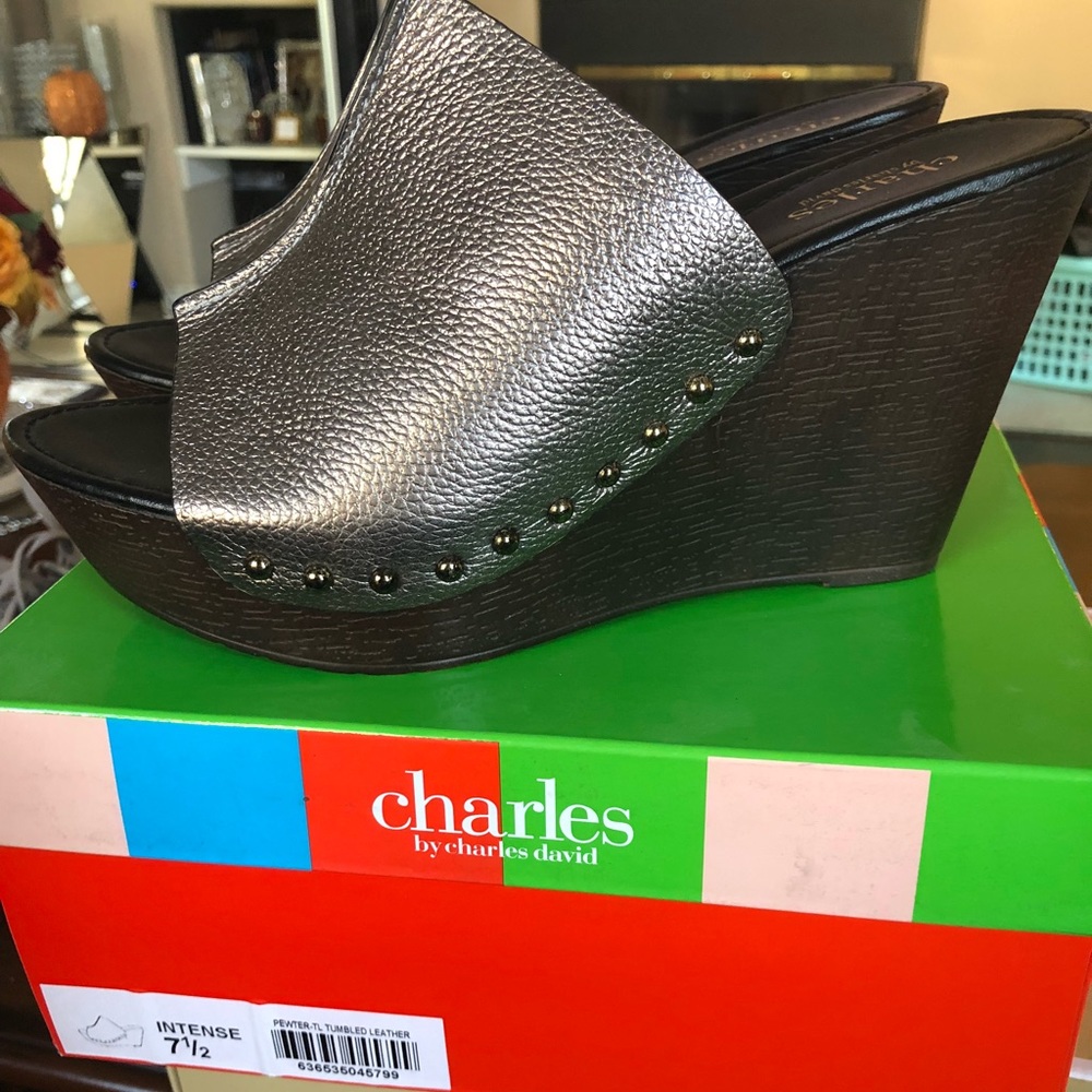 Charles David Metallic and Dark Wedges